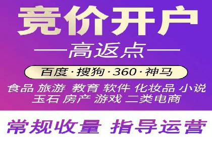 SEM网络推广案例：精准营销助力品牌成长